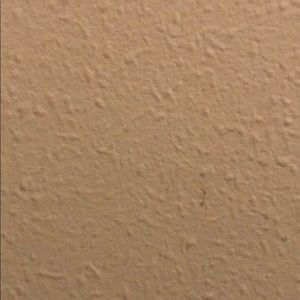 Meet your Posher, Thalia